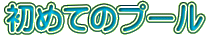 ���߂Ẵv�[��