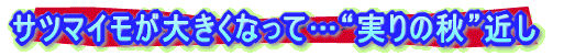�T�c�}�C�����傫���Ȃ��āc�g����̏H�h�߂�