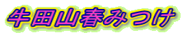 ���c�R�t�݂�